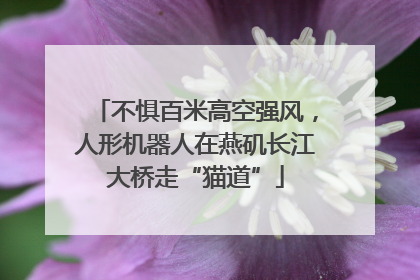 不惧百米高空强风，人形机器人在燕矶长江大桥走“猫道”