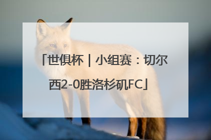 世俱杯｜小组赛：切尔西2-0胜洛杉矶FC