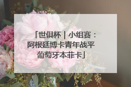 世俱杯｜小组赛：阿根廷博卡青年战平葡萄牙本菲卡