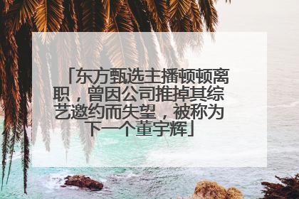 东方甄选主播顿顿离职，曾因公司推掉其综艺邀约而失望，被称为下一个董宇辉