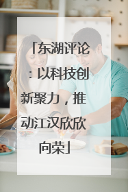 东湖评论：以科技创新聚力，推动江汉欣欣向荣