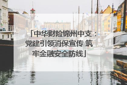 中华财险锦州中支：党建引领消保宣传 筑牢金融安全防线