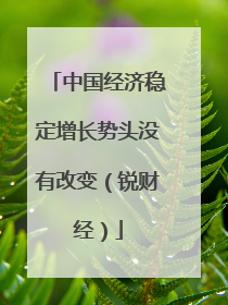 中国经济稳定增长势头没有改变（锐财经）