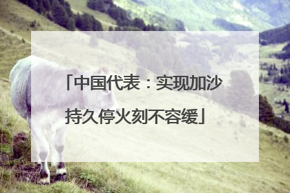 中国代表：实现加沙持久停火刻不容缓