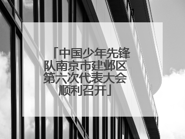 中国少年先锋队南京市建邺区第六次代表大会顺利召开