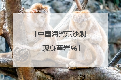 中国海警东沙舰，现身黄岩岛
