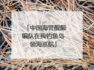 中国海警舰艇编队在我钓鱼岛领海巡航