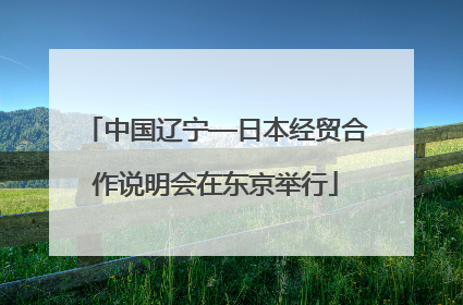 中国辽宁—日本经贸合作说明会在东京举行
