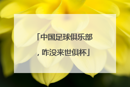 中国足球俱乐部，咋没来世俱杯