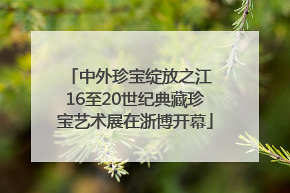 中外珍宝绽放之江 16至20世纪典藏珍宝艺术展在浙博开幕