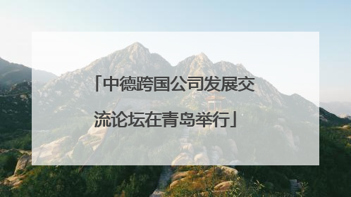中德跨国公司发展交流论坛在青岛举行