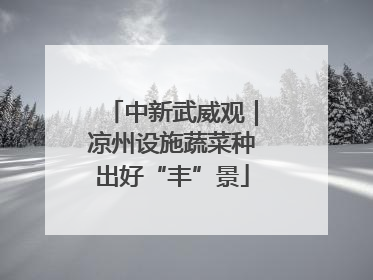 中新武威观｜凉州设施蔬菜种出好“丰”景