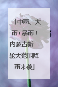 中雨、大雨+暴雨！内蒙古新一轮大范围降雨来袭