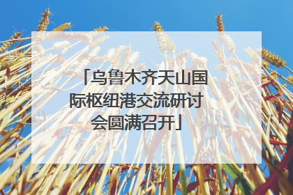 乌鲁木齐天山国际枢纽港交流研讨会圆满召开