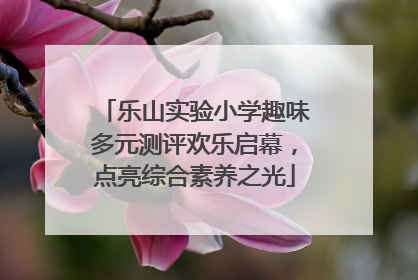 乐山实验小学趣味多元测评欢乐启幕，点亮综合素养之光