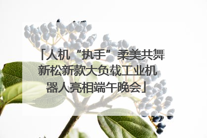人机“执手”柔美共舞 新松新款大负载工业机器人亮相端午晚会
