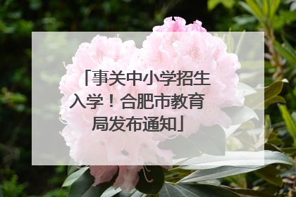 事关中小学招生入学！合肥市教育局发布通知
