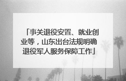 事关退役安置、就业创业等，山东出台法规明确退役军人服务保障工作