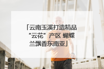 云南玉溪打造精品“云花”产区 蝴蝶兰飘香东南亚