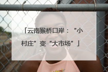 云南猴桥口岸：“小村庄”变“大市场”