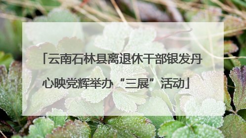 云南石林县离退休干部银发丹心映党辉举办“三展”活动