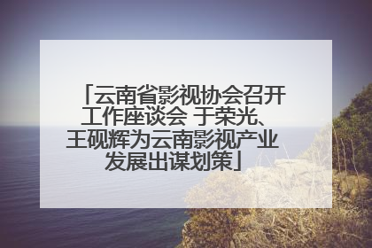 云南省影视协会召开工作座谈会 于荣光、王砚辉为云南影视产业发展出谋划策