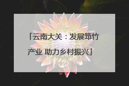 云南大关：发展筇竹产业 助力乡村振兴