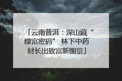 云南普洱：深山藏“绿富密码” 林下中药材长出致富新图景