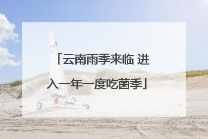 云南雨季来临 进入一年一度吃菌季