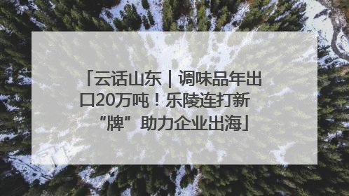 云话山东｜调味品年出口20万吨！乐陵连打新“牌”助力企业出海