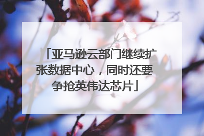 亚马逊云部门继续扩张数据中心，同时还要争抢英伟达芯片