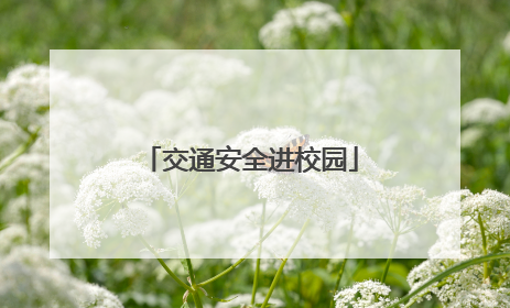 交通安全进校园