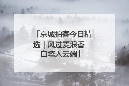 京城拍客今日精选｜风过麦浪香 白塔入云端