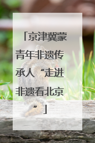 京津冀蒙青年非遗传承人“走进非遗看北京”
