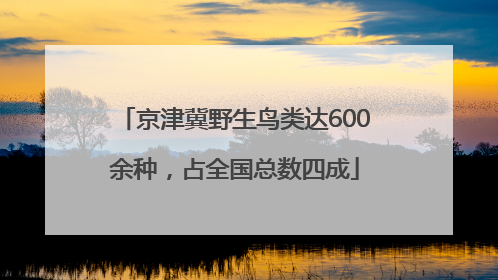京津冀野生鸟类达600余种，占全国总数四成