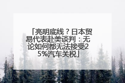 亮明底线？日本贸易代表赴美谈判：无论如何都无法接受25%汽车关税