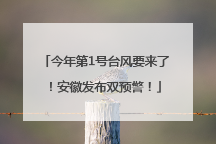 今年第1号台风要来了！安徽发布双预警！
