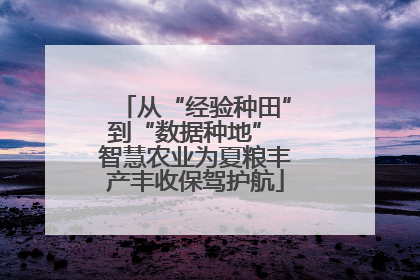 从“经验种田”到“数据种地” 智慧农业为夏粮丰产丰收保驾护航