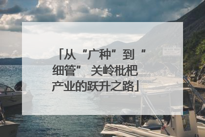 从“广种”到“细管” 关岭枇杷产业的跃升之路