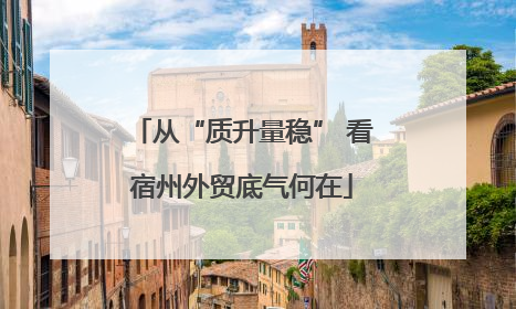 从“质升量稳” 看宿州外贸底气何在