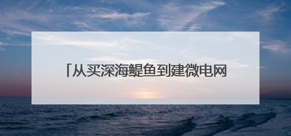 从买深海鳀鱼到建微电网 中企加速掘金非洲现代化｜直击中非经贸博览会