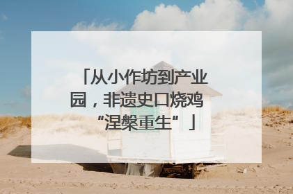 从小作坊到产业园，非遗史口烧鸡“涅槃重生”