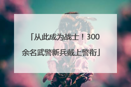 从此成为战士！300余名武警新兵戴上警衔