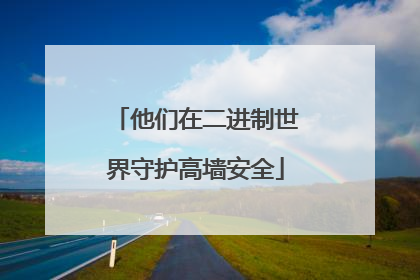 他们在二进制世界守护高墙安全