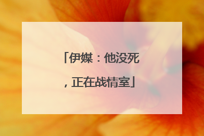 伊媒：他没死，正在战情室
