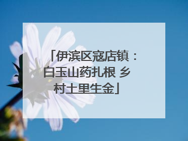 伊滨区寇店镇：白玉山药扎根 乡村土里生金