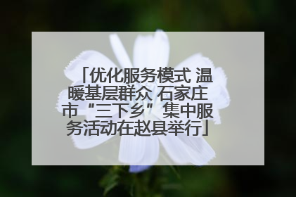 优化服务模式 温暖基层群众 石家庄市“三下乡”集中服务活动在赵县举行