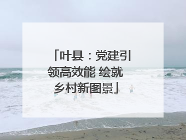 叶县：党建引领高效能 绘就乡村新图景