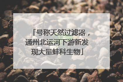 号称天然过滤器，通州北运河下游新发现大量蚌科生物