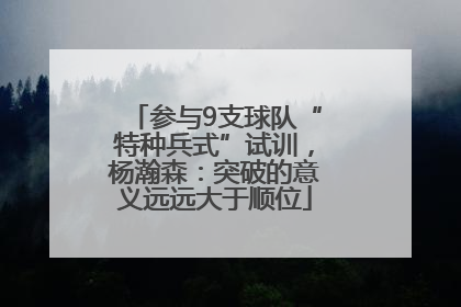 参与9支球队“特种兵式”试训，杨瀚森：突破的意义远远大于顺位